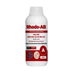 giong-rhodobacter-rhodopseudomonas-palustris-dam-dac