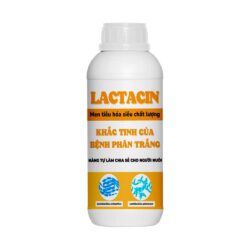 lactacin-khac-tinh-cua-benh-phan-trang