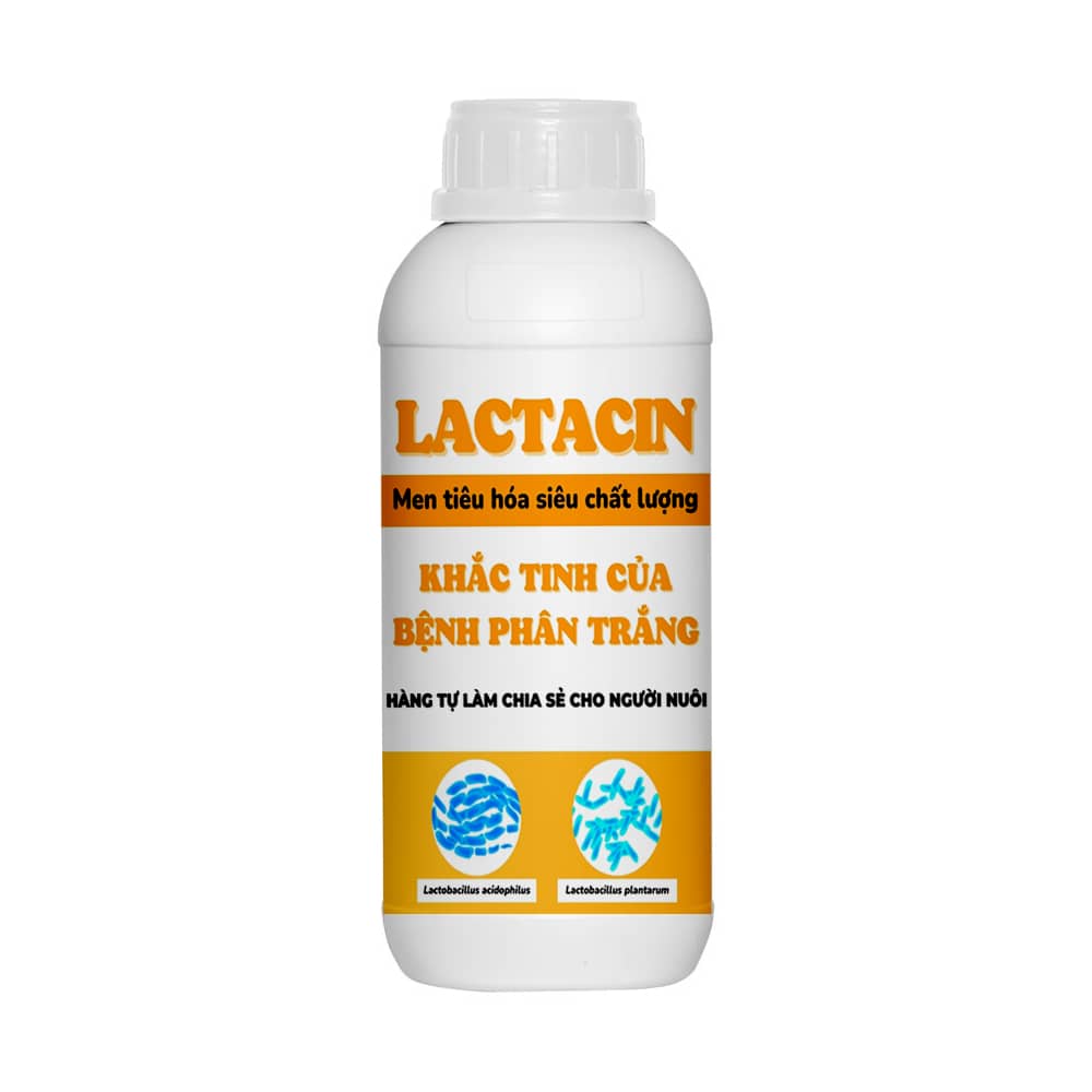 lactacin-khac-tinh-cua-benh-phan-trang