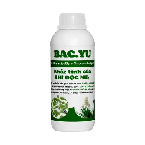 bac-yu-che-pham-ket-hop-bacillus-sp-va-yucca-schidigera