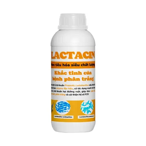 lactacin-men-tieu-hoa-tri-phan-trang